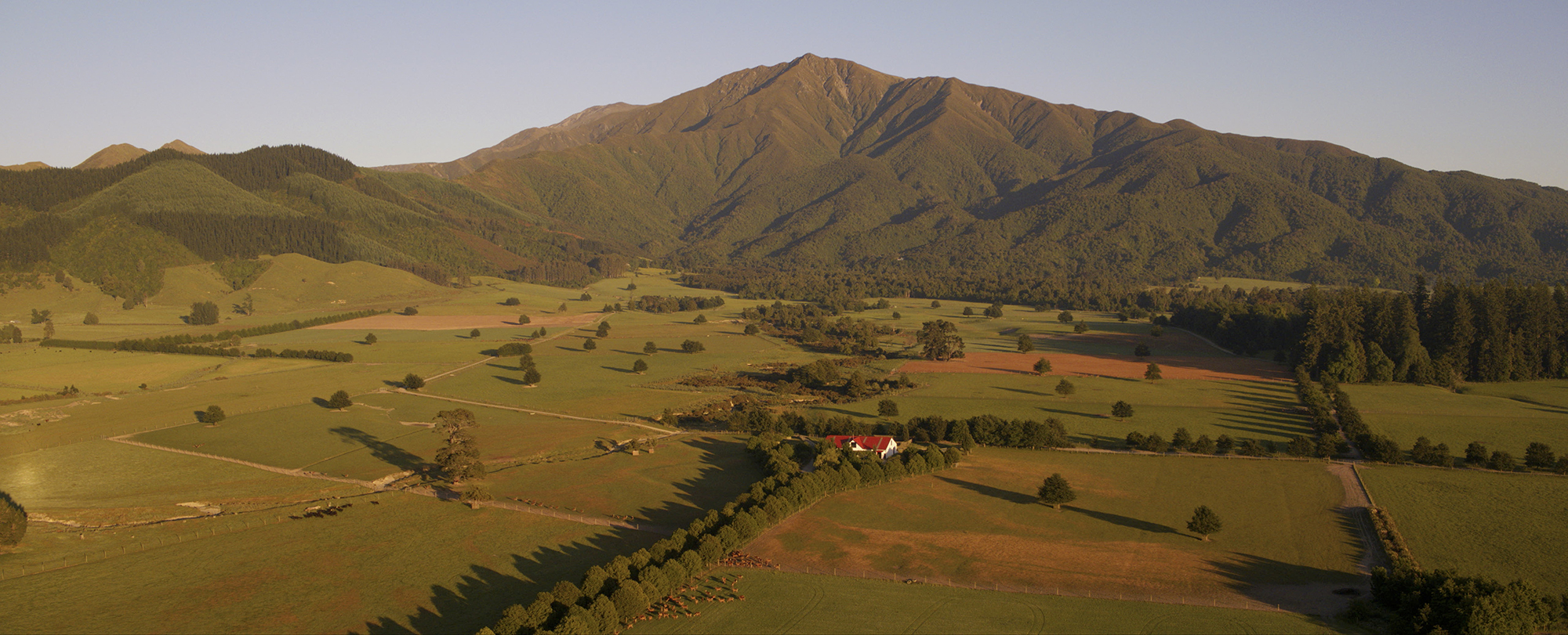 About Peel Forest Estate