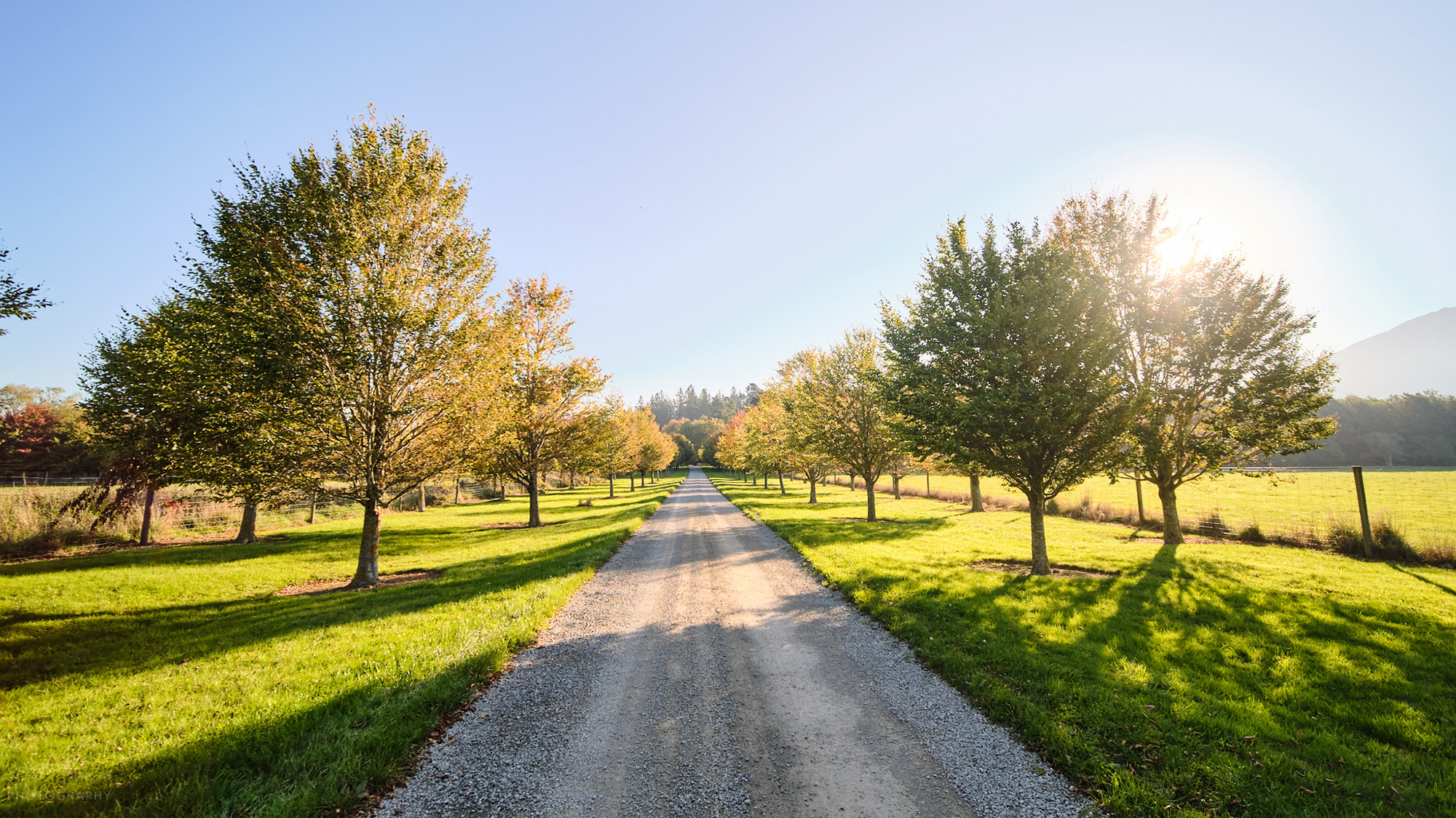 About Peel Forest Estate